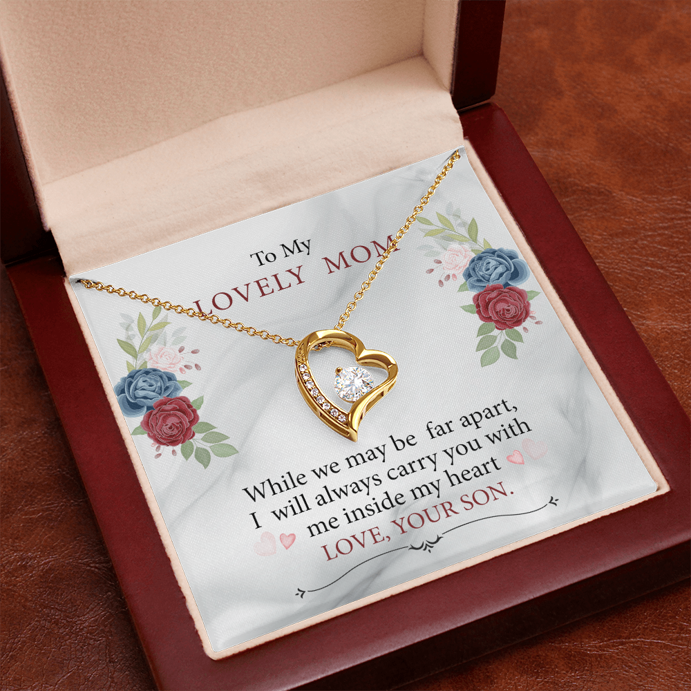 To My Mom - I will always carry you in my heart