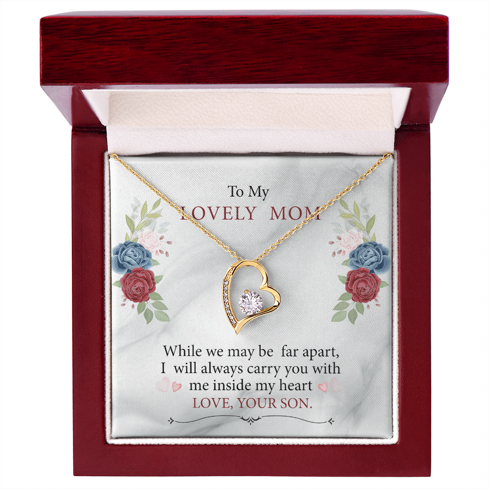 To My Mom - I will always carry you in my heart