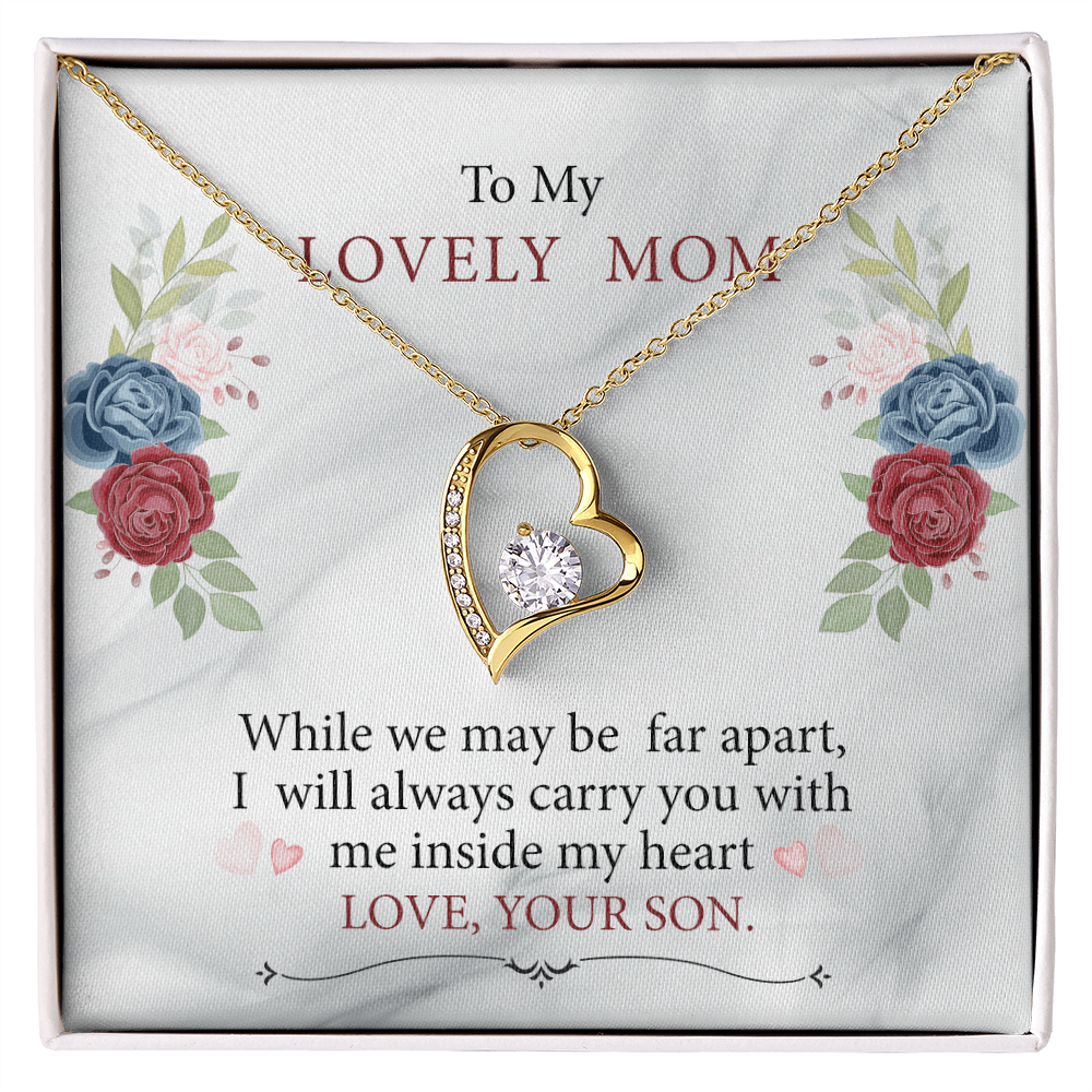 To My Mom - I will always carry you in my heart